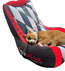 Exporelax Dogs chill